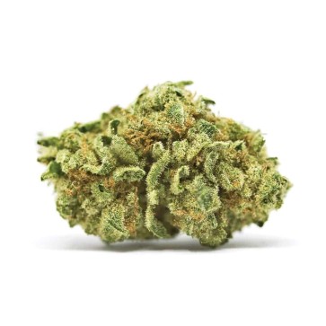 Семена конопли Auto CBD White Widow Feminised