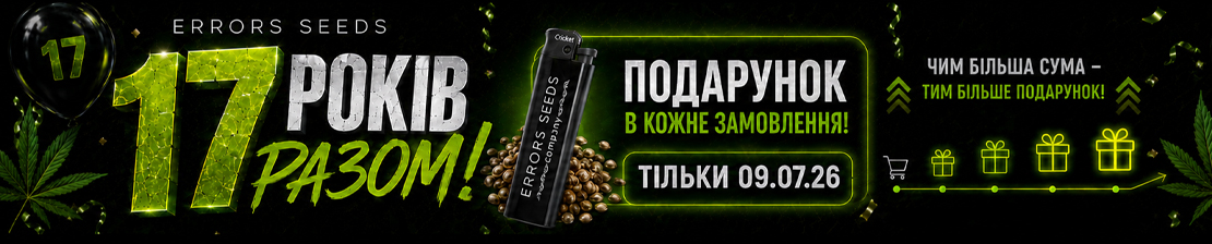 День Рождения Errors Seeds: нам 17 лет!