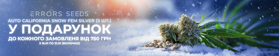 Зимова акція від Errors Seeds!