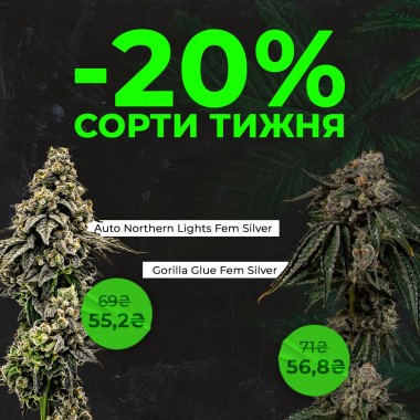 Зустрічай нові сорти тижня з Errors Seeds! 01.09.2025