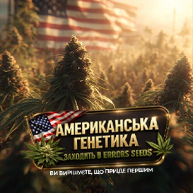 Легендарная американская генетика в Errors Seeds: Выбирай, кто станет первым!