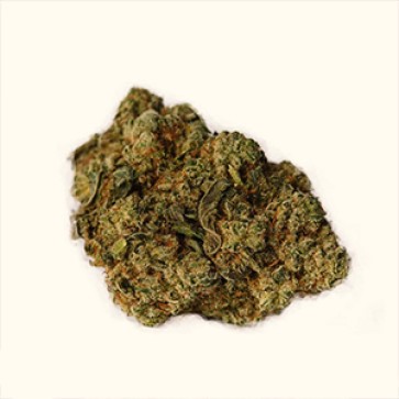 Семена конопли Auto Easy Ryder Feminised Gold