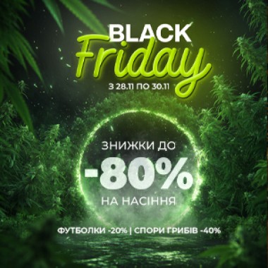 Black Friday at Errors Seeds - discounts up to 80%!