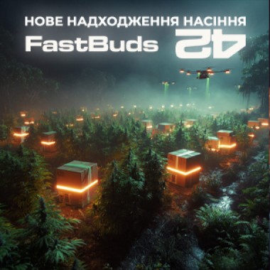 New shipment of seeds from 420FastBuds!