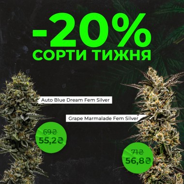 Зустрічай нові сорти тижня з Errors Seeds! 08.09.2025