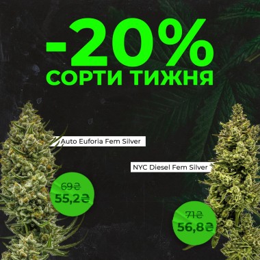 Зустрічай нові сорти тижня з Errors Seeds! 15.09.2025