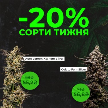 Зустрічай нові сорти тижня з Errors Seeds! 25.08.2025