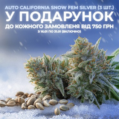 Winter promotion: gifts with orders over 750 UAH