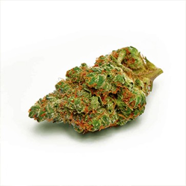 Насіння коноплі Cream Caramel Feminised Gold