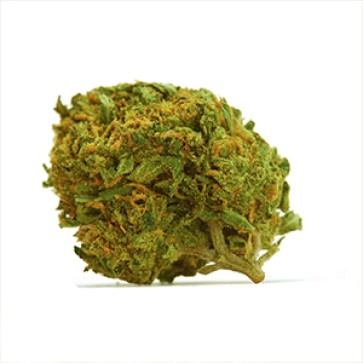 Durban Poison Feminised Gold Hemp Seeds