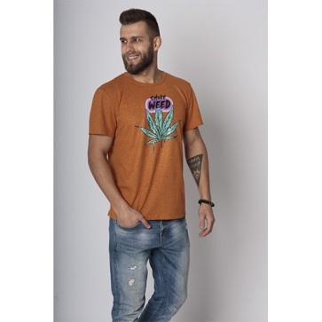 Футболка Canna Guardian Smoke Weed Blue Leaf