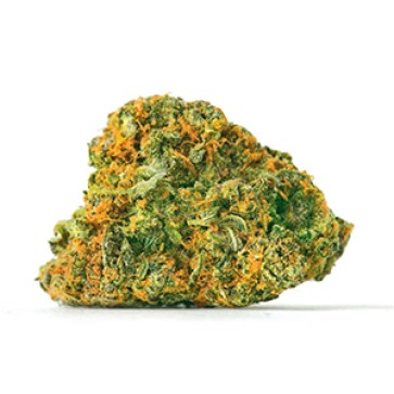 Gorilla Glue x Amnesia Feminised Gold Hemp Seeds