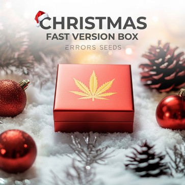 Errors Seeds Fast Version Новогодний Fast Version Box