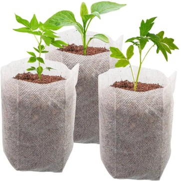 Пакетики для рассады 2,5 л. (10 шт.)