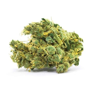 Насіння коноплі Banana Sherbet Feminised Gold