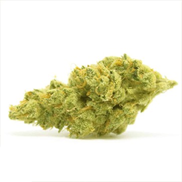 Насіння коноплі Pineapple Chunk Feminised Gold