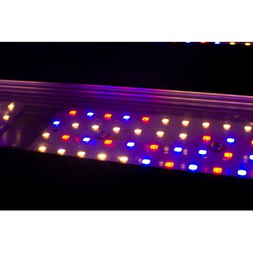 Семена конопли Growled-Pro 300 Full Spectrum с wi-fi управлением