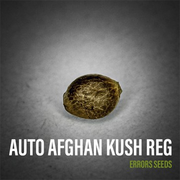Auto Afghan Kush Silver - Photo №3