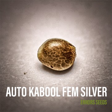 Семена конопли Auto Kabool Feminised Silver