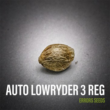 Семена конопли Auto Lowryder 3 Silver