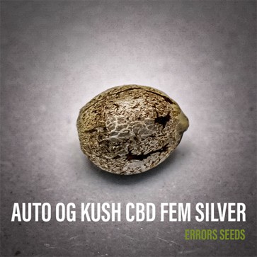 Семена конопли Auto CBD OG Kush Feminised Silver