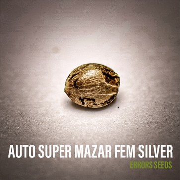 Насіння конопель Auto Super Mazar Feminised Silver