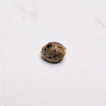 Насіння конопель Bubblelicious Feminised Silver