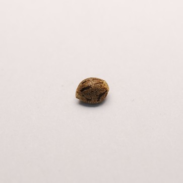 Bubblelicious Silver - Photo №2