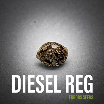 Семена конопли Diesel Silver