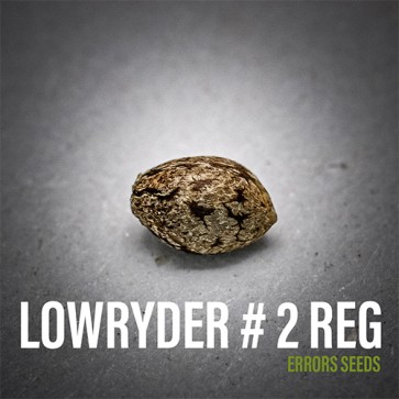 Семена конопли Lowryder2 Regular