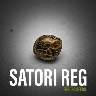 Satori Silver - Photo №3