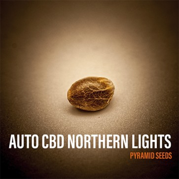 Семена конопли Auto CBD Northern Lights Feminised