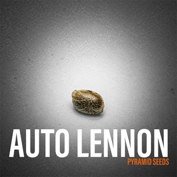 Семена конопли Auto Lennon Feminised