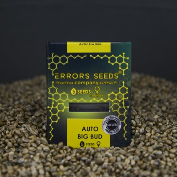 Auto Big Bud Feminised Silver - Photo №3