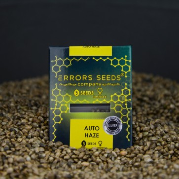 Auto Haze Feminised Silver - Photo №4