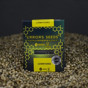 Auto Lowryder2 Feminised Silver - Photo №3