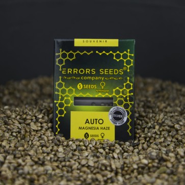 Auto Magnesia Haze Feminised Silver - Photo №7