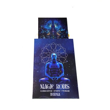 Mushroom spores Burma - Photo №3