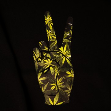 Насіння конопель Худі з "Victory hand"