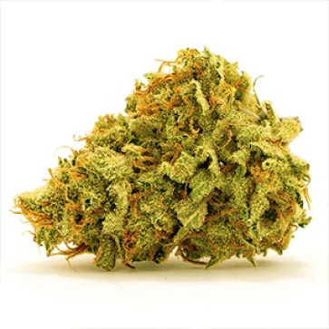 Насіння коноплі Sherbet Feminised Gold