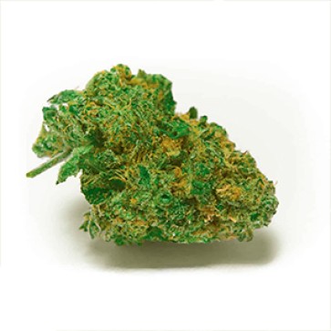 Skunk #11 Feminised Gold Hemp Seeds