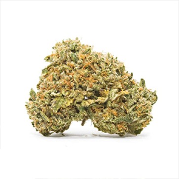 Насіння коноплі Somango Haze Feminised Gold