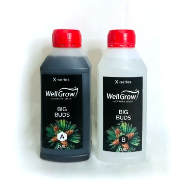 Big Buds (Компонент А+В)