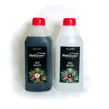 Big Buds (Компонент А+В)