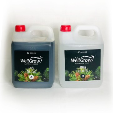 Big Buds (Компонент А+В)