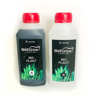 Big Plant (Компонент А+В)