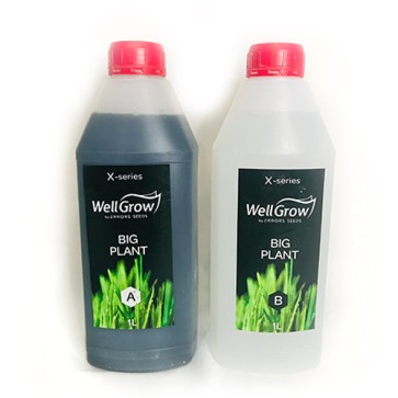 Big Plant (Компонент А+В)