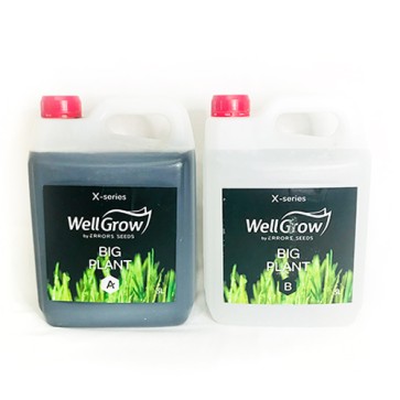 Big Plant (Компонент А+В)