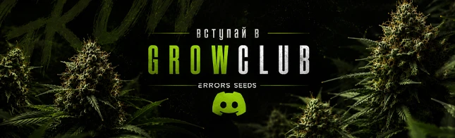 Присоединяйтесь к серверу Errors Seeds в Discord!