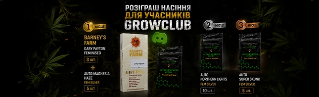 Розыгрыш в дискорде